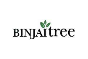 binjai_tree-02-300x200 binjai_tree-02-300x200